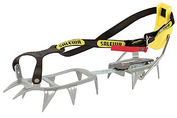 Размещенное изображение